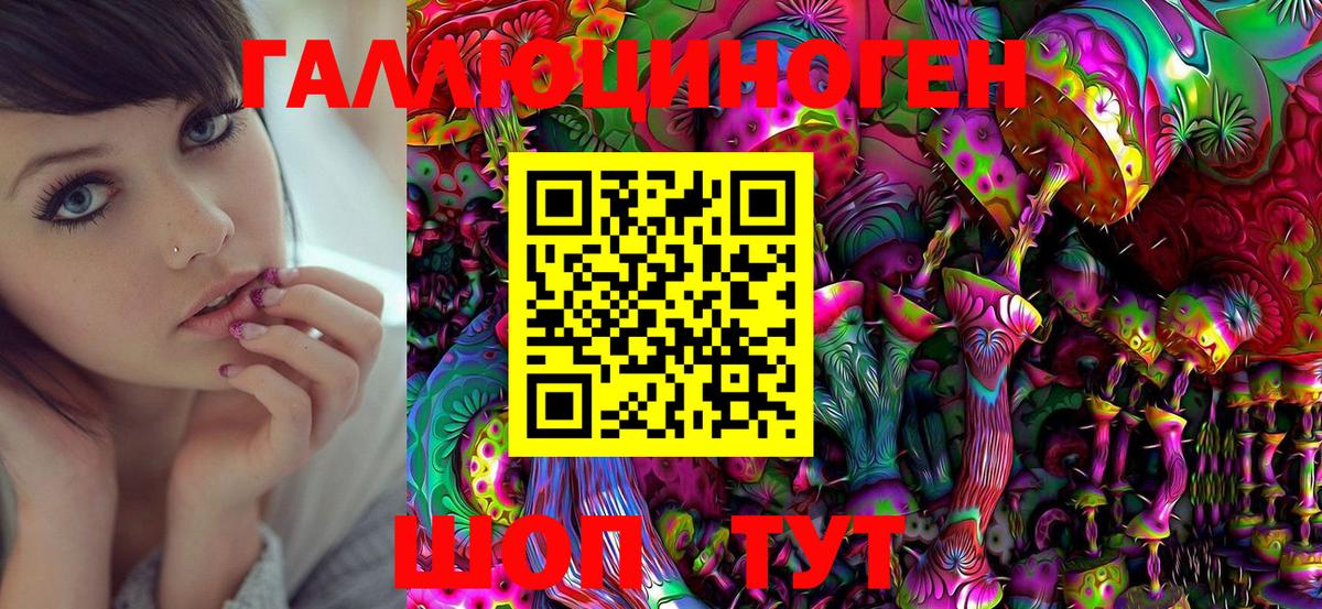 Королёв  Галлюциногенные грибы Magic Shrooms  Вход с VPN 