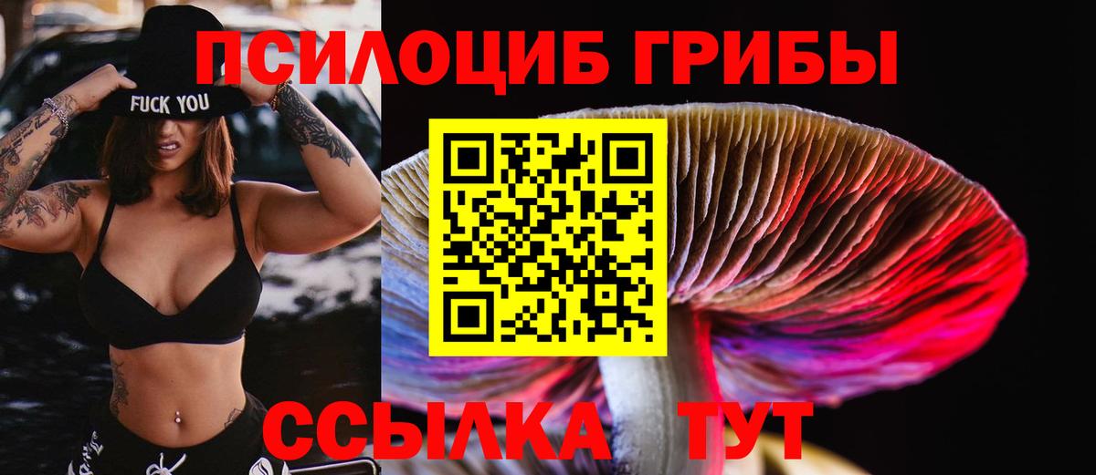 Галлюциногенные грибы Psilocybe Королёв